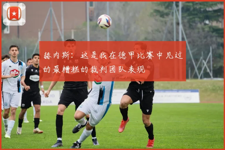 赫内斯：这是我在德甲比赛中见过的最糟糕的裁判团队表现