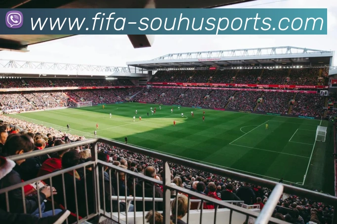 搜狐体育服务体系